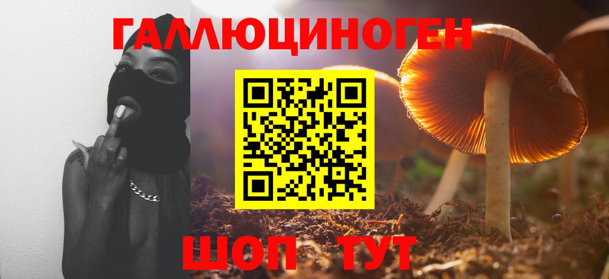 Галлюциногенные грибы Magic Shrooms  Вход с VPN  Тимашёвск 